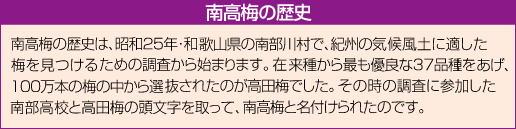 南部梅の歴史